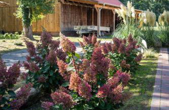 Kiefer -Ferienwohnung in Dötlingen mit Waldblick - Foto 15