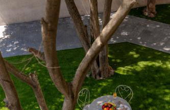 Adam and Cupid - Foto 74