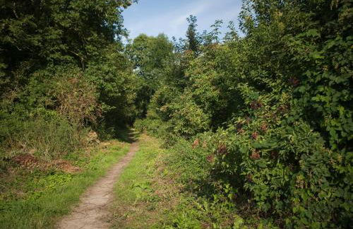 Les gites du champ des oiseaux - Foto 75
