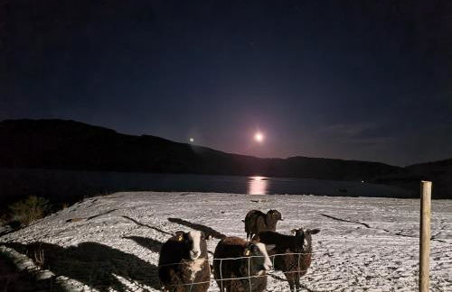 The bay ,luxury shepherds hut, - Foto 16