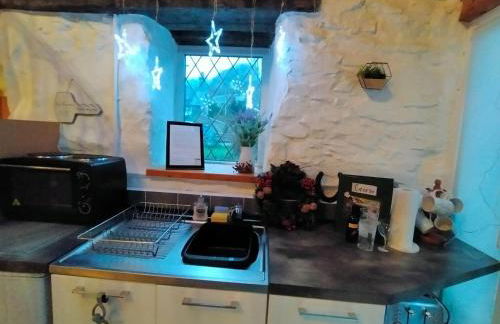 Yr Hen Efail - Quirky Old Smithy cottage near forest walks, cycling & lakes - Foto 11