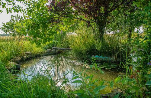 Il Laghetto 3 - Photo 14