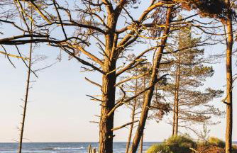 Dymnica 5- dom wakacyjny blisko Sasina i Łeby - Foto 51
