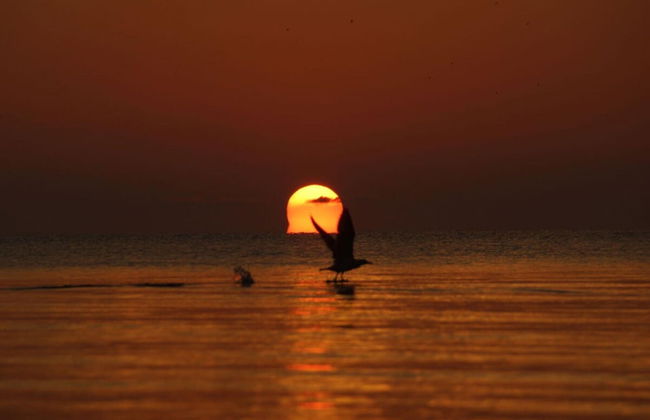 Cathedral day "key West" - Foto 15