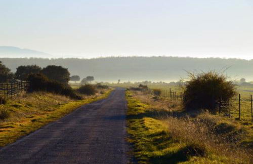 Casas Las Hazas - Foto 66