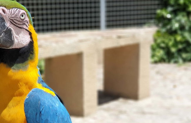 La Era de las Aves Zoo Ticket - Foto 1