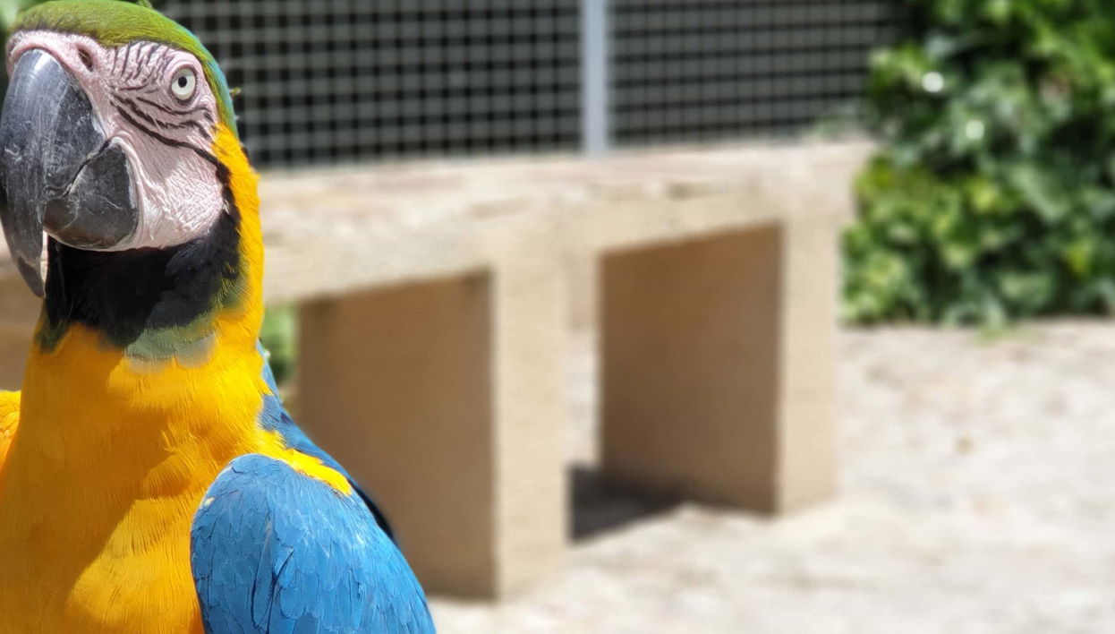 Billet pour le zoo Era de las Aves