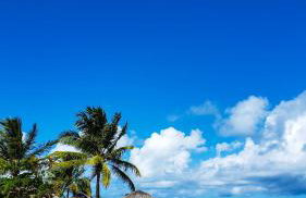 FLAT RIOMAR - Foto 22