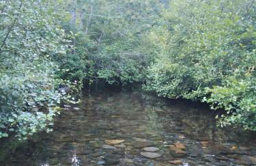 CASA DA LOAIRA - Foto 12