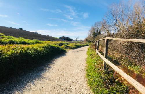 Ritorno alla Natura - Foto 53