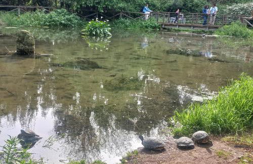 A casa di Mori - Foto 19