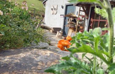 Ferienhaus Sinneswandel - Foto 18