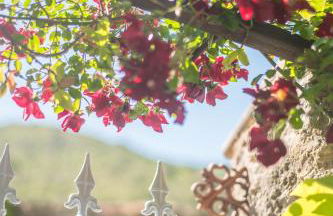 Le Refuge Provençal Nijonyas - Foto 35