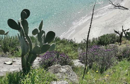 Casa Azzurrina - Foto 28