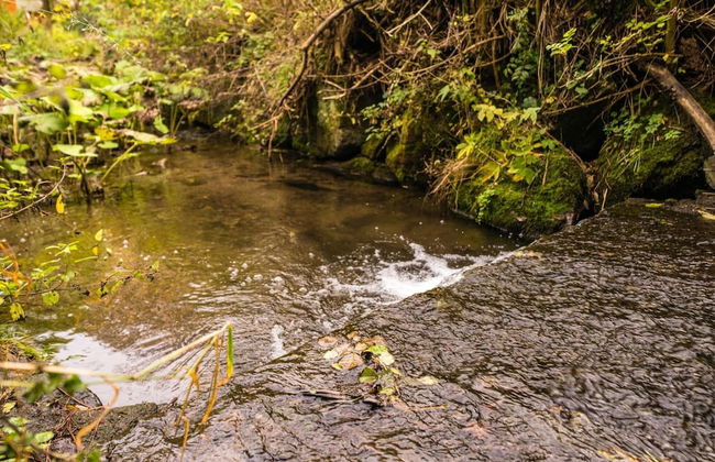 Holiday Home in Willingen Near Ski Slopes - Photo 12