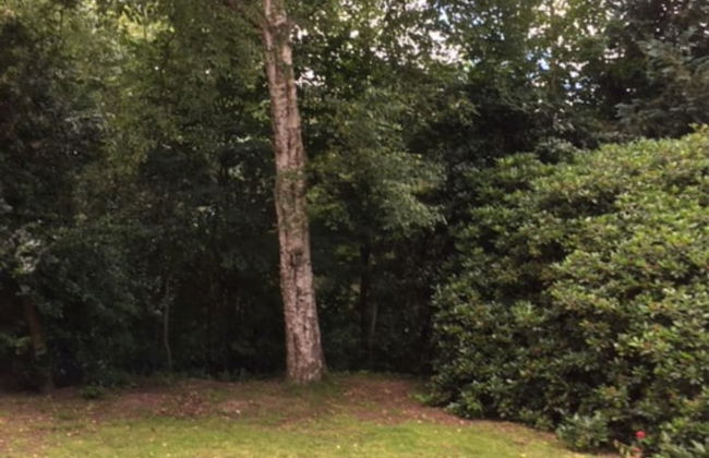 Ferienwohnung Tante Lise - Foto 31