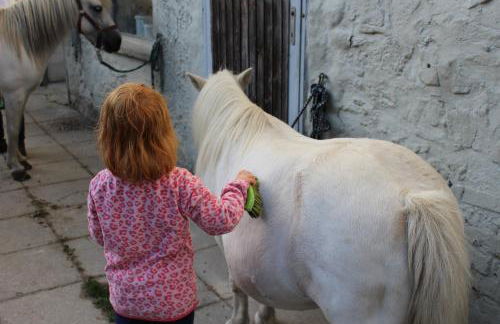 Ponyhof Adam Urlaub auf dem Bauernhof - Foto 27