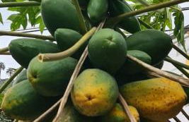 Casa Rural Antigua Escuela II - Foto 20