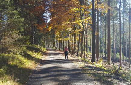 Ferienhaus Bergidylle - Photo 51