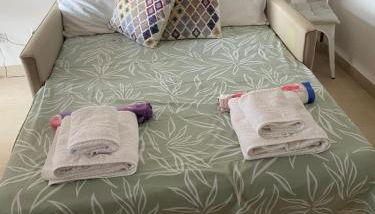 Hibiscus Apartment-casa per le vacanze vicino tropea - Foto 4