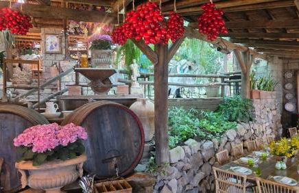 Agriturismo Fattoria Terranova - Foto 60