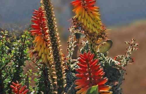 Casa El Nisperero - Foto 18