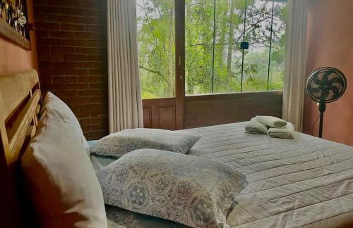 Casa Araucária - Photo 14