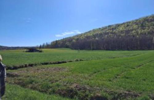 Apartment in Armsfeld With Pool - Foto 63