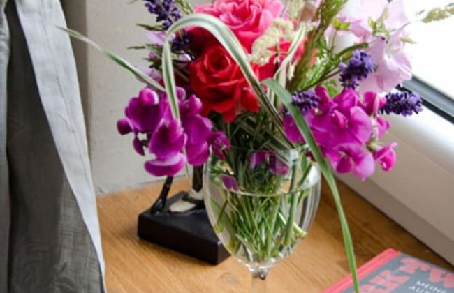 Adele - Gästezimmer am Elberadweg - Foto 6