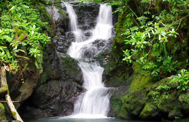 Bounty Lodge - Photo 68