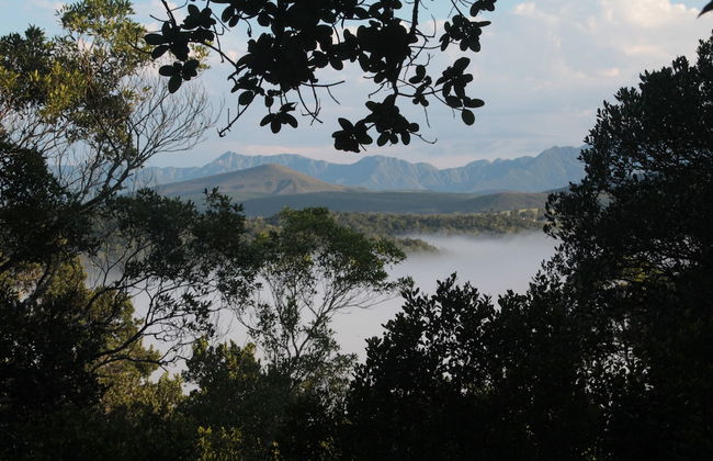 Moon Shine on Whiskey Creek - Foto 45