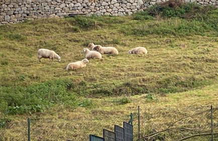 La Casa de Fito cerca del centro de Comillas - Foto 33