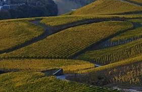 Wohnen direkt an Mosel und Goldbach - Foto 33