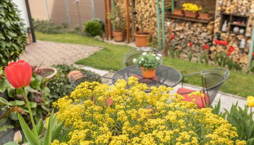 Haus Schneider - Foto 5