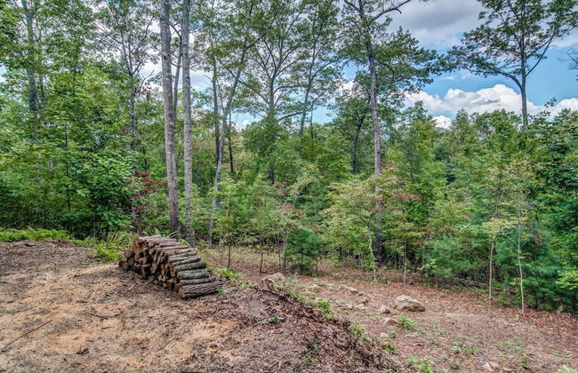 Gorgeous & Secluded 3 BDR Cabin in Mineral Bluff! - Foto 39