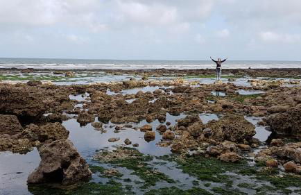 Villa Violaine - Foto 15