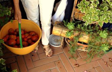 Agriturismo Le Cerinaie - Foto 77