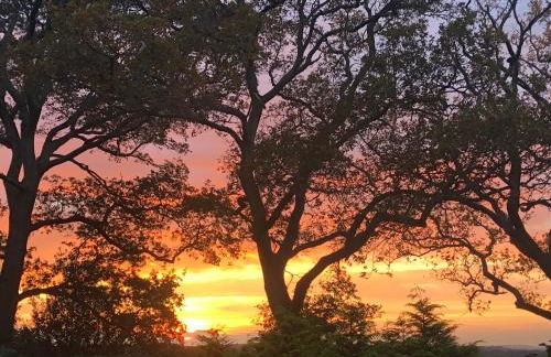 Birchcroft Hideaway - Photo 42