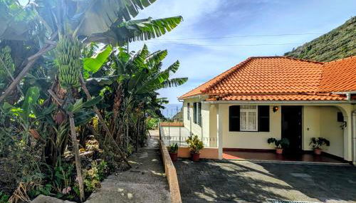 Banana Lovers - Farm View - Photo 2