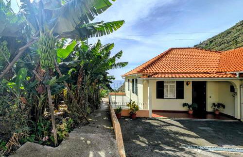 Banana Lovers - Farm View - Photo 2