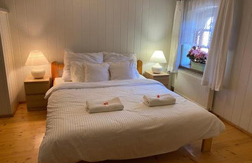 Apartament w XIX-wiecznym Spichlerzu nad Jeziorem z dostępem do parku i widokiem na Dworek Modrzewiowy z 1823 roku - Foto 29