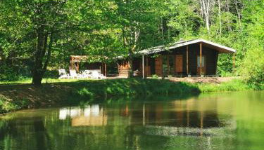 Chalet - gîte avec étang - Foto 5