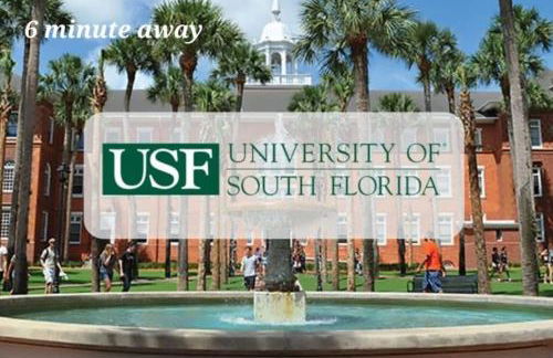 Villa White Rock in Tampa - Photo 74