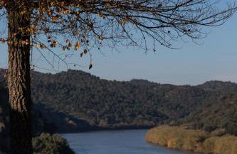 Casa de los Olivos, chimenea con horno 2 Hab 4 Pers Max - Foto 38