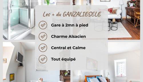 GANZALIESELE - Foto 2, towels, toaster