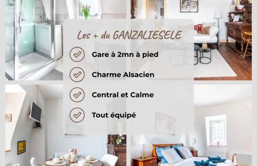 GANZALIESELE - Foto 2