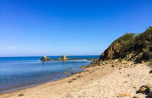 HH SELECTION Emiro - Foto 47