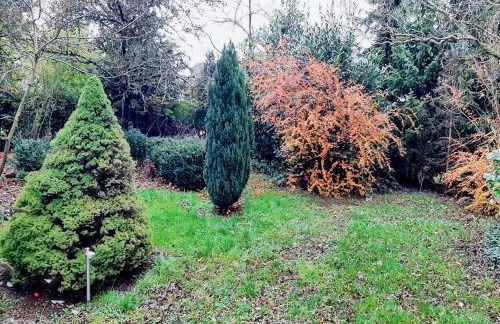 Eifel Garden Villa for Groups - Foto 67