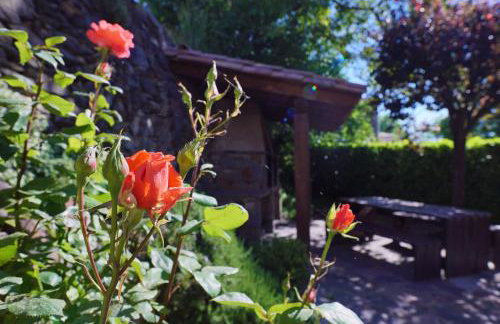 El carrero - Foto 14