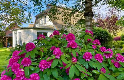 Ferienhaus Ankerherz - Foto 42